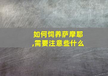 如何饲养萨摩耶,需要注意些什么