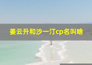 姜云升和沙一汀cp名叫啥