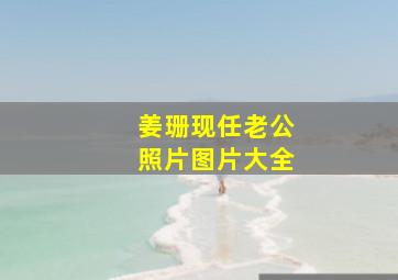 姜珊现任老公照片图片大全