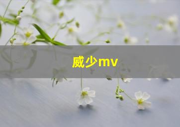 威少mv