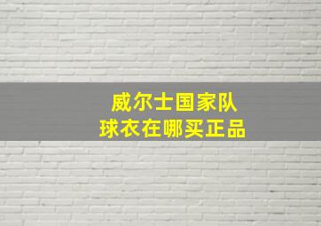 威尔士国家队球衣在哪买正品