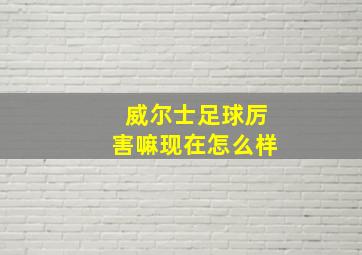 威尔士足球厉害嘛现在怎么样