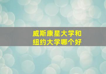 威斯康星大学和纽约大学哪个好