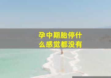 孕中期胎停什么感觉都没有