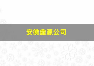 安徽鑫源公司