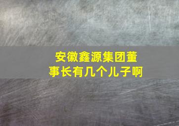 安徽鑫源集团董事长有几个儿子啊