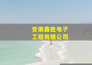 安徽鑫胜电子工程有限公司