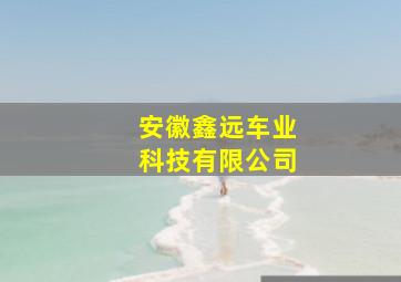 安徽鑫远车业科技有限公司