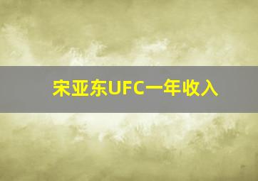 宋亚东UFC一年收入