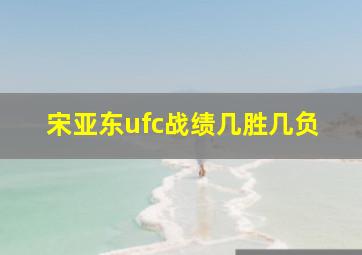 宋亚东ufc战绩几胜几负