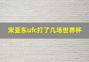 宋亚东ufc打了几场世界杯