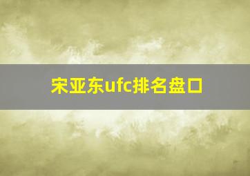 宋亚东ufc排名盘口