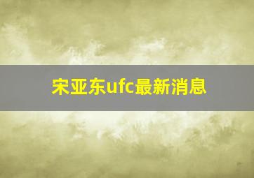 宋亚东ufc最新消息