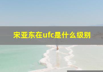 宋亚东在ufc是什么级别