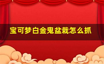 宝可梦白金鬼盆栽怎么抓