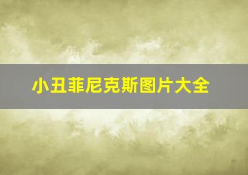 小丑菲尼克斯图片大全