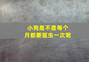 小狗是不是每个月都要驱虫一次呢