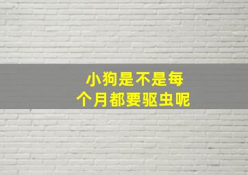 小狗是不是每个月都要驱虫呢