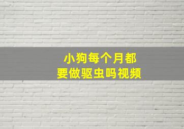 小狗每个月都要做驱虫吗视频