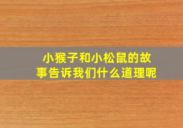 小猴子和小松鼠的故事告诉我们什么道理呢