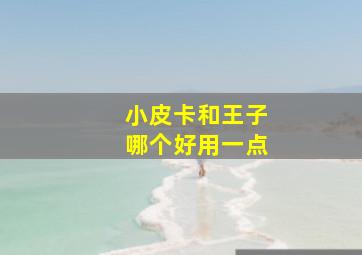 小皮卡和王子哪个好用一点