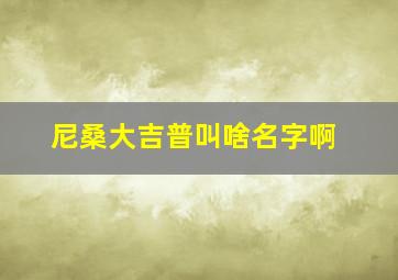 尼桑大吉普叫啥名字啊