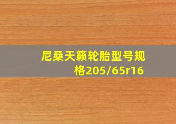 尼桑天籁轮胎型号规格205/65r16