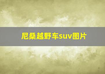 尼桑越野车suv图片