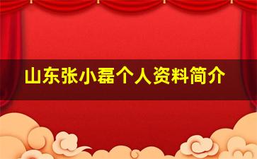 山东张小磊个人资料简介