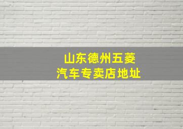 山东德州五菱汽车专卖店地址