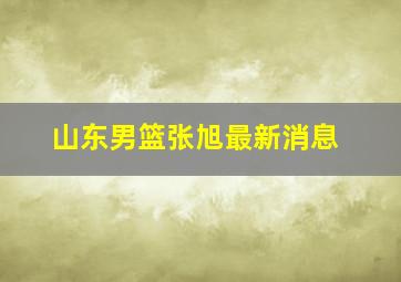 山东男篮张旭最新消息