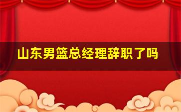 山东男篮总经理辞职了吗