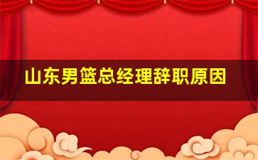 山东男篮总经理辞职原因