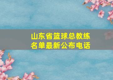 山东省篮球总教练名单最新公布电话