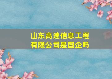 山东高速信息工程有限公司是国企吗