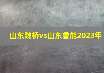 山东魏桥vs山东鲁能2023年