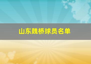 山东魏桥球员名单