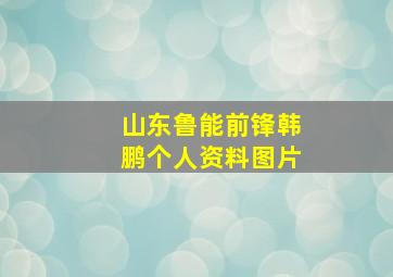 山东鲁能前锋韩鹏个人资料图片