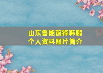 山东鲁能前锋韩鹏个人资料图片简介