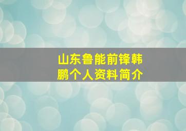 山东鲁能前锋韩鹏个人资料简介