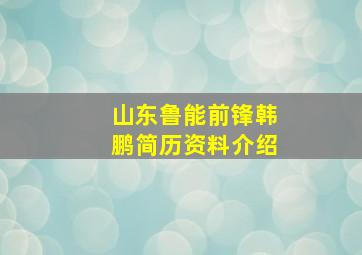 山东鲁能前锋韩鹏简历资料介绍