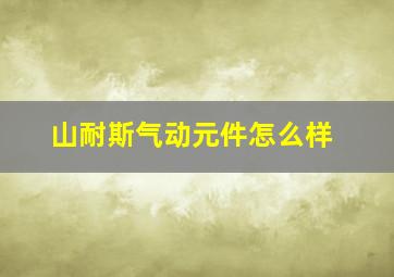 山耐斯气动元件怎么样