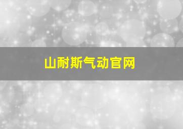 山耐斯气动官网