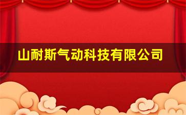 山耐斯气动科技有限公司