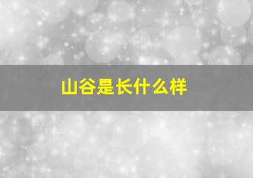 山谷是长什么样