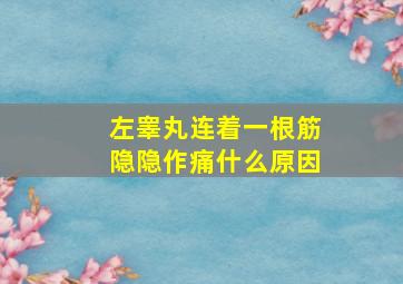 左睾丸连着一根筋隐隐作痛什么原因