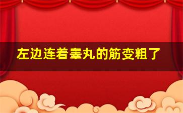 左边连着睾丸的筋变粗了