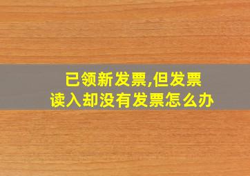 已领新发票,但发票读入却没有发票怎么办