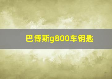 巴博斯g800车钥匙