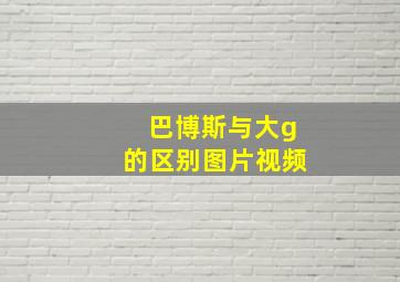 巴博斯与大g的区别图片视频